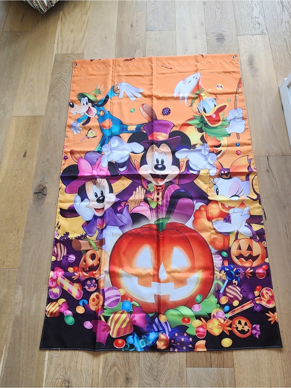 Disney Outdoor Halloween Flag